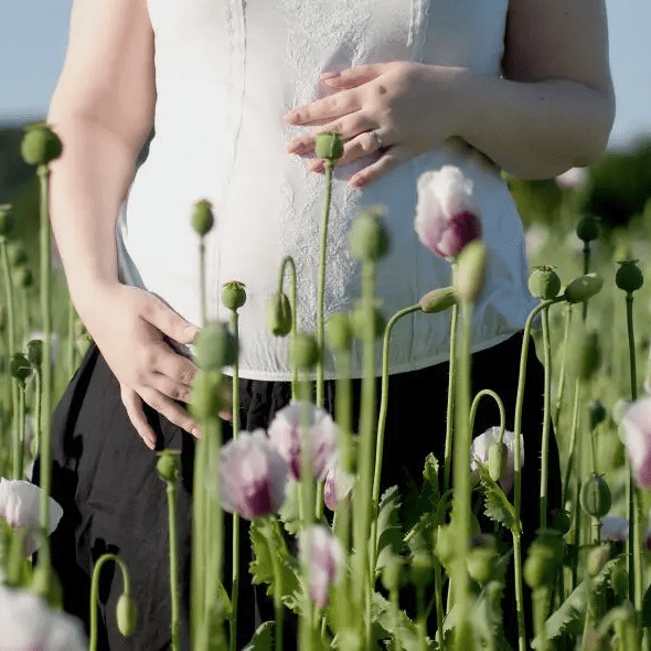 belly-in-poppies_t20_GR216E-590x590